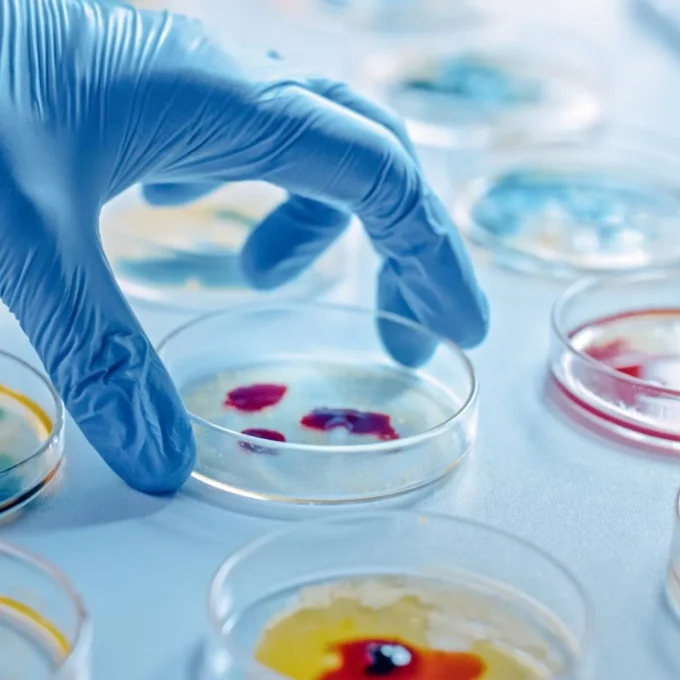 Bacteriën