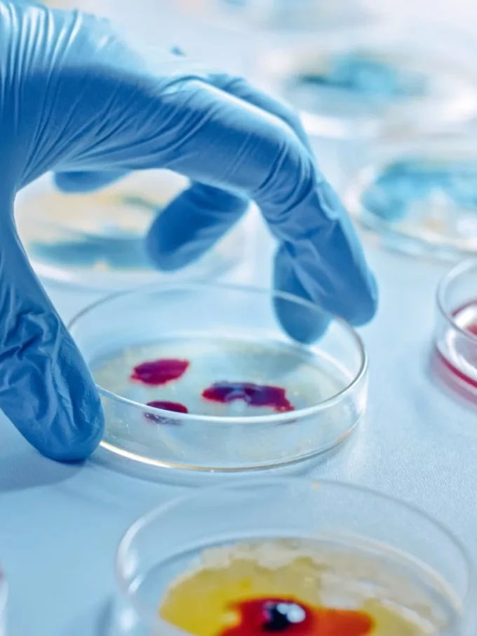 Bacteriën